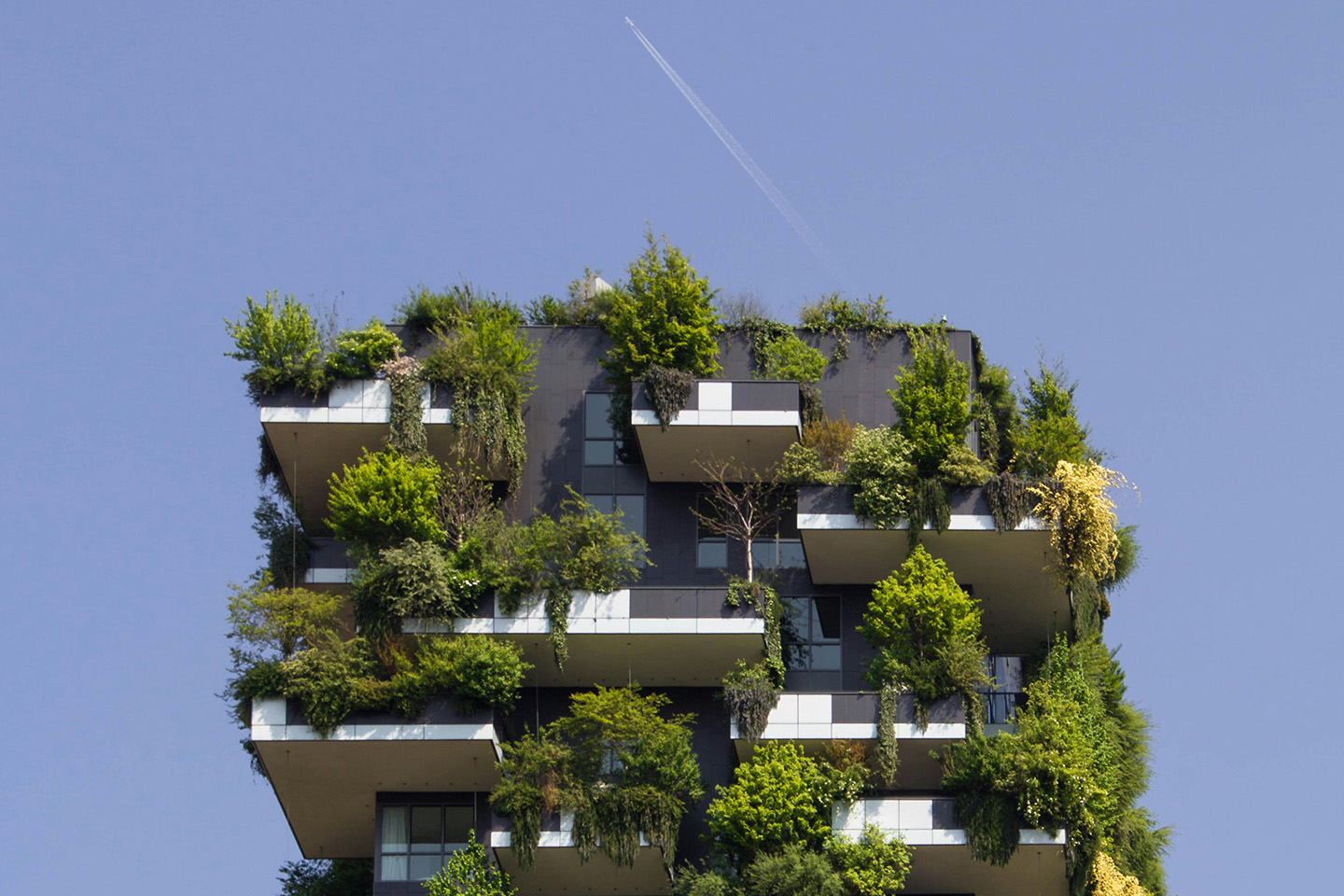Building with lots of plants planted on the outside growing around the building