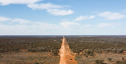 Red dirt road cutting through bushes on either side reaching out toward the horizon, blue sky above